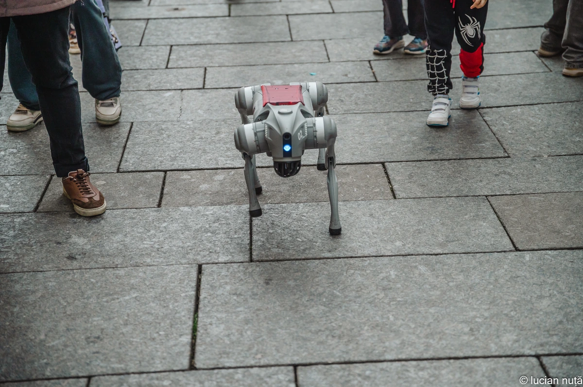 Unitree Go2 quadruped platform viewed from the front during a public demonstration.
